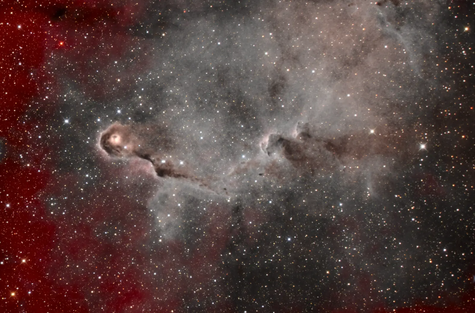 IC 1396A, the Elephant Trunk Nebula: crimson hydrogen fronts on the left, bronze and grey dust lanes coiling through the centre, over a dense star field.